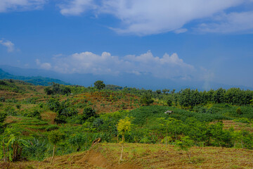 a beautiful countryside feel accompanied by blue skies