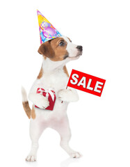 Poster - Jack russell terrier puppy  wearing a party cap holds gift box and shows signboard with labeled 