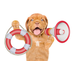 Poster - Happy mastiff puppy barking into the megaphone and showing lifebuoy. Isolated on white background