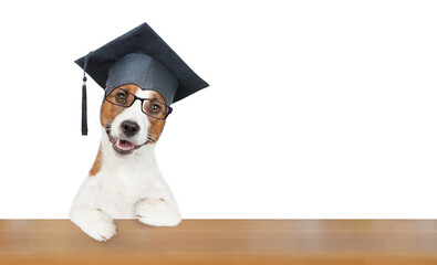 Poster - Smart jack russell terrier puppy wearing eyeglasses and graduation hat sits with open book at school. Isolated on white background. Empty space for text