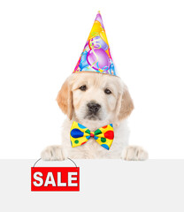 Poster - Golden retriever puppy wearing party cap and tie bow shows signboard with labeled 