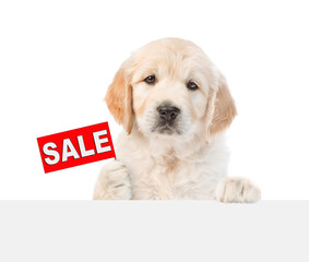 Aufkleber - Smart Golden retriver puppy shows signboard with labeled 