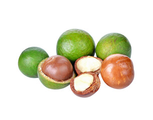 Canvas Print - macadamia nuts transparent png