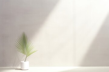 Wall Mural - a customizable banner featuring a small potted plant bathed in sunlight against a white wall, with a