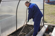 © Liubov - A man works in a vegetable garden in early spring.  Digs the ground.   Working in a greenhouse