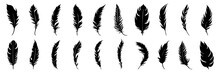 Set Of Silhouette Feathers. Black Feather Isolated On White