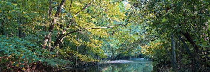 Canvas Print - Panoramic view of Colorful Maple trees  with colorful fall foliage along Huron river branch along Hines drive.