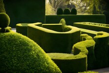 The Artistry Of Topiary With Well-trimmed Hedges And Sculpted Bushes 
