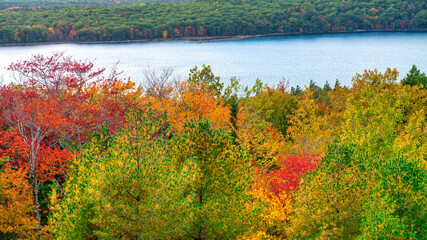 Canvas Print - Autumn foliage in fall season. Red autumn landscapes in fall, trees and mountains of New England