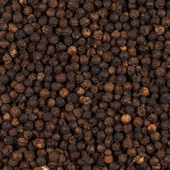 Wall Mural - Black pepper zoomed in on