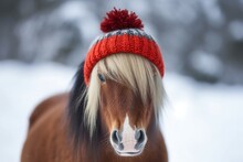 Pony Red Hat Winter Season. Outdoor Friend. Generate Ai