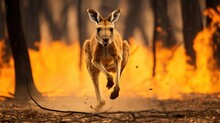 Animals Running Escaping To Save Their Lives From The Burning Forest. Climate Change, Droughts And Forest Fires Concept