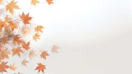Wall Mural - maple leaves on a white background isolated frame of fallen leaves autumn blank