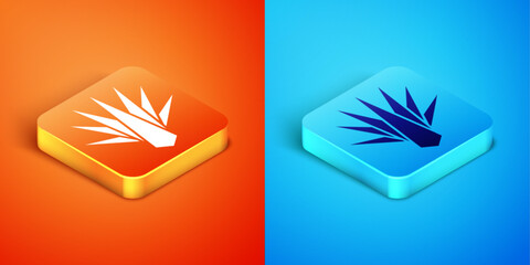 Wall Mural - Isometric Agave icon isolated on orange and blue background. Traditional Mexican plant. Vector