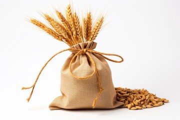 Sack of wheat and ears of wheat on a white background. Quality products, healthy eating