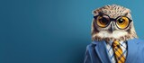 Fototapeta  - Animal owl portraits, Cool business animal in sunglasses and suit. With copy text space, wide screen. Simple background, Generative AI