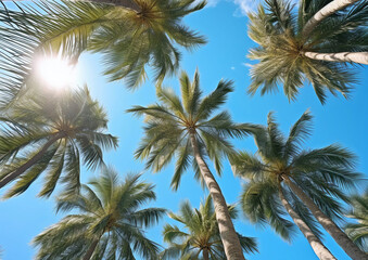 Palm trees on summer sunny day with sun and blue sky.View from below.AI Generative