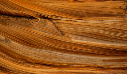 Wall Mural - Full frame of sandstone rock pattern, Rock formation, natural of sand stone on beach in Australia, line and curve of stone use for background