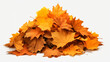 Pile of autumn leaves