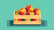 Drawing of a box with apples vector