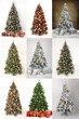 A collection of 9 beautiful decorated Christmas Trees