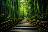 Fototapeta Dziecięca - view of the path in the bamboo forest