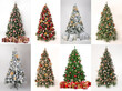 A collection of 8 beautiful decorated Christmas Trees