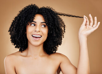 Canvas Print - Curly hair, strand and woman in studio for beauty, healthy growth or natural coil textures on brown background. Happy model pull afro hairstyle for salon aesthetic, keratin treatment or cosmetic care