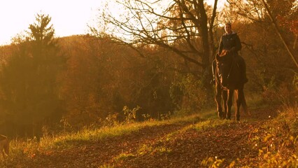 Wall Mural - LENS FLARE: Cheerful lady on an evening horse ride through autumn countryside. She is enjoying beautifully colored and peaceful nature that surrounds her while horseback riding in golden sunset light.