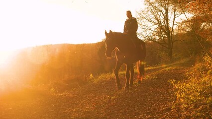 Wall Mural - LENS FLARE: Golden autumn nature and a woman horseback riding along leaf covered footpath. She is enjoying beautifully coloured landscape that surrounds her while riding a brown horse in sunset light.