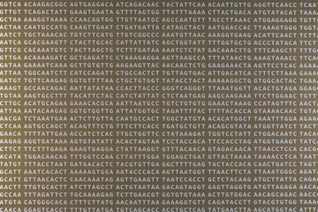 Letters A C G T arranged randomly. ACGT represent nucleobase adenine, cytosine, guanine and thymine found in DNA, part of covid 19 genome structure