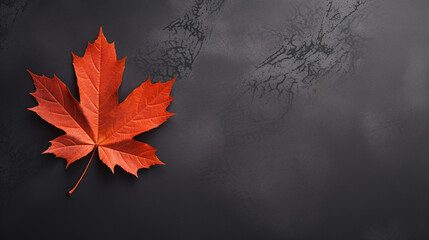 Wall Mural - Autumn maple leaf on plain background. Flat lay, top view