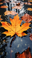 Wall Mural - Orange maple leaf in a puddle. Autumn background. Selective focus.