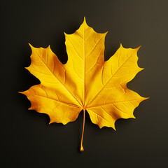Wall Mural - Yellow maple leaf on plain background. Top view, flat lay