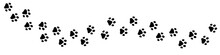 Vector Paw Trail Of Animal Footprint. Dog Or Cat Tracks Isolated On White Background.