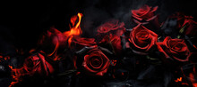 Red Roses On A Black Background With A Lot Of Smoke And Fire