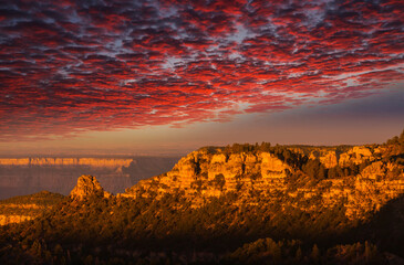 Sticker - Grand Canyon