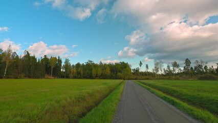 Wall Mural - Beautiful view of dirt road running along agricultural fields and forests on autumn day on backdrop of blue sky with white clouds. Sweden.