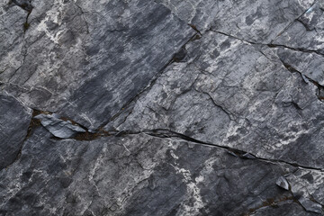 Wall Mural - Texture of a Granite Close-Up Photo