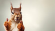 © B & G Media - This charming squirrel shows approval with a thumbs-up in a wide banner, offering ample space for text or content.