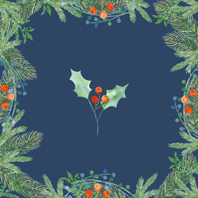 Festive Frame With Green Holly Leaves, Blue And Red Berries And Spruce Twigs.