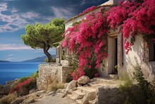 Pink Bougainvillea Flowers In The Street With Traditional White Houses In Greece Travel Postcard