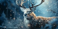 Christmas Reindeer. Snow Background With Snowflakes With Real Deer . Photo.