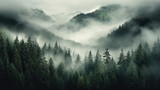 Fototapeta Natura - fog over mountains,dark forest