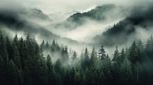 Fog Over Mountains,dark Forest