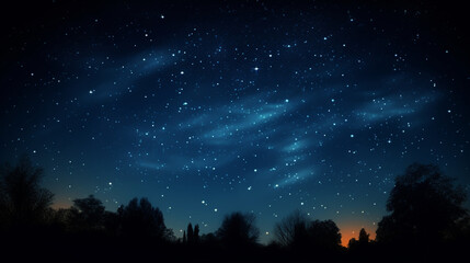 Wall Mural - Blue dark night sky with many stars above field of trees.