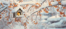 Cute Yellow Bird With Birdhouse Or Nest Box On Tree Branch During Early Winter, Covered With Snow, Generative Ai