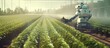 Agriculture uses robotic systems