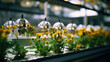 Closeup of tiny insects pollinating flowers in a miniature farm lab, carefully monitored by astronauts to ensure successful harvests.