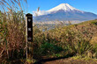 道志山塊の平尾山山頂より望む富士山
